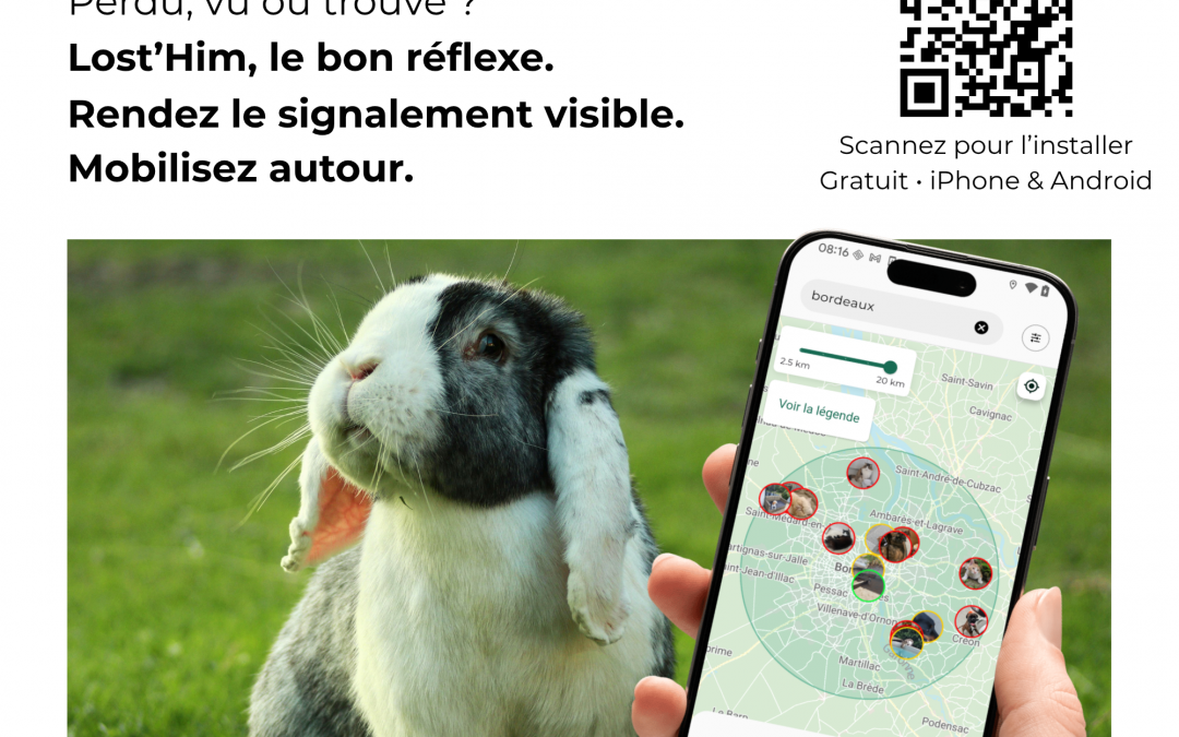 losthim vétérinaire