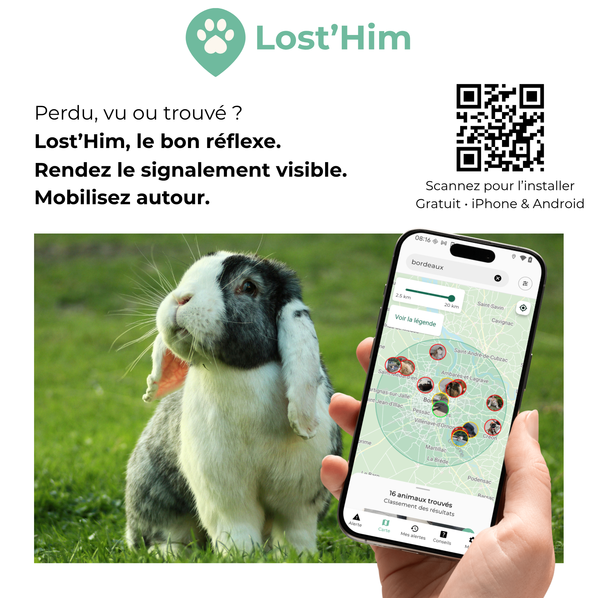 losthim vétérinaire