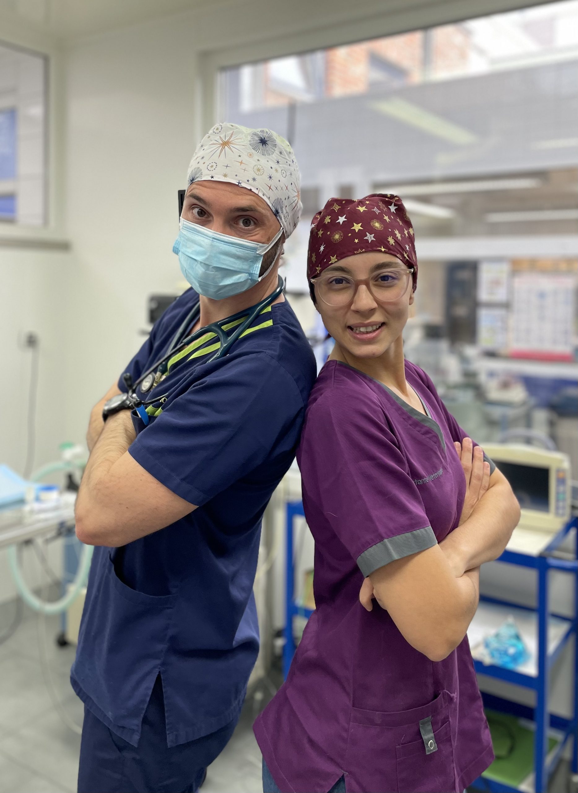 calot vétérinaire coloré