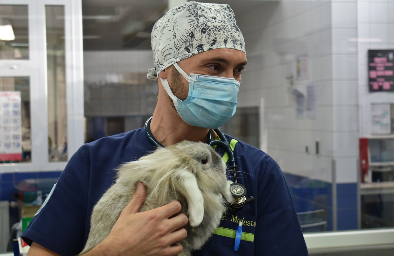 Les super-héros portent des calots : un hommage à celles et ceux qui soignent les animaux